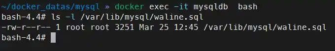 在容器内部找到 waline.sql