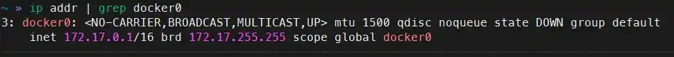 查看 docker0 IP